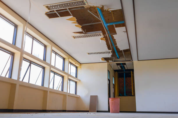 Best Water damage restoration near me  in Horizon City, TX