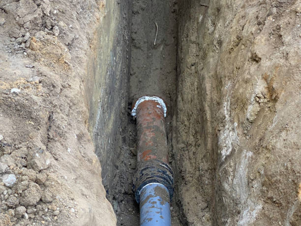 Best Basement water damage restoration  in Horizon City, TX
