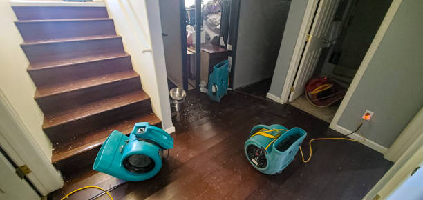 Best Flood restoration services  in Horizon City, TX