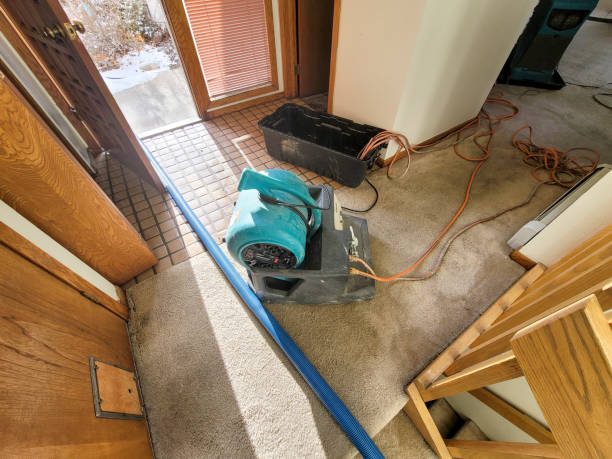 Best Residential water damage restoration  in Horizon City, TX