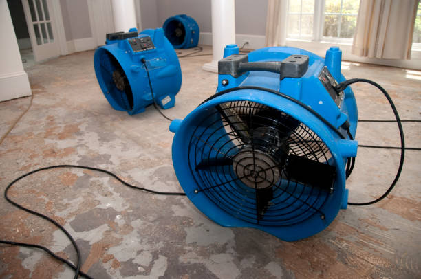 Best Fire Damage Restoration  in Horizon City, TX