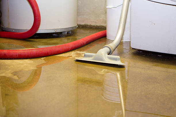 Best Professional water damage repair  in Horizon City, TX