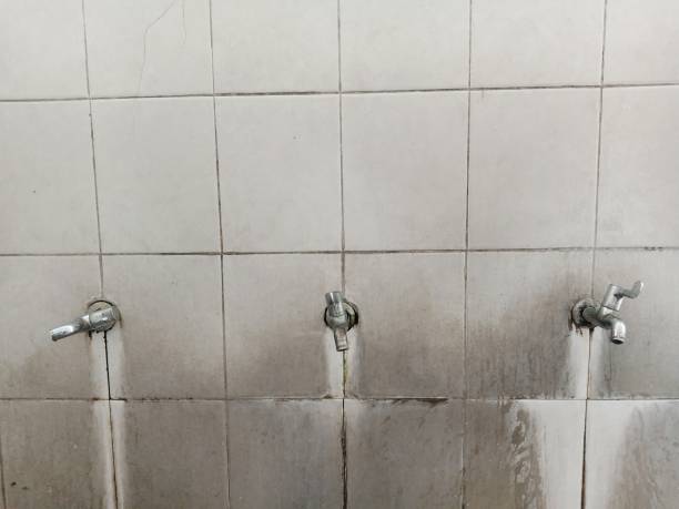 Best Commercial water damage restoration  in Horizon City, TX