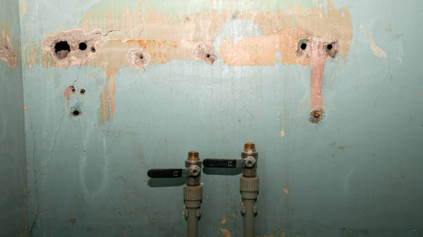 Best Water damage restoration near me  in Horizon City, TX